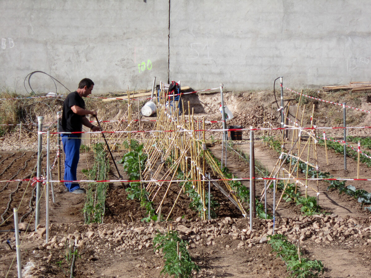Agricultura regenerativa y diseñar un huerto vivo, el nuevo curso práctico de Vivero Educativo Taxus