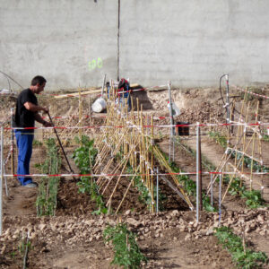 Agricultura regenerativa y diseñar un huerto vivo, el nuevo curso práctico de Vivero Educativo Taxus
