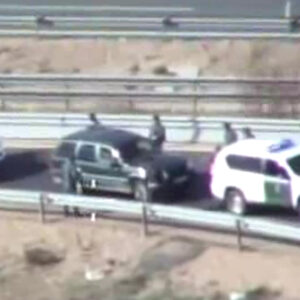 VÍDEO | Tres detenidos en Toledo por cazar de forma furtiva con galgos