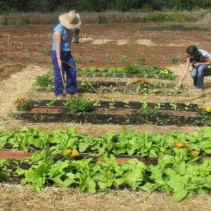 “Tenemos que cambiar la tendencia para que los jóvenes vean en la agricultura una forma de vida"
