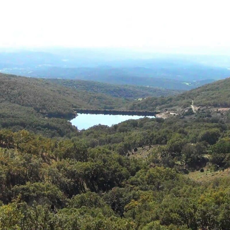 Castilla-La Mancha anuncia ayudas para "inversiones forestales productivas" en plena ola de incendios