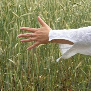 El "reto" de aprobar el Estatuto de las Mujeres Rurales de Castilla-La Mancha en esta legislatura