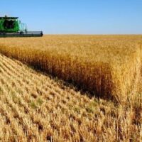 Interior suspende temporalmente las labores de cosecha con maquinaria agrícola por los incendios