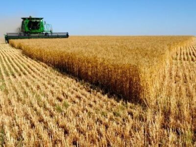 Interior suspende temporalmente las labores de cosecha con maquinaria agrícola por los incendios