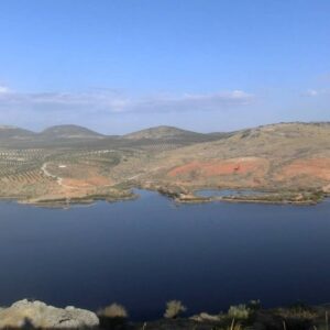 Nuevo intento para declarar al toledano embalse de Finisterre como Refugio de Fauna