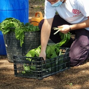 Sesenta años de luz, esperanza y transformación