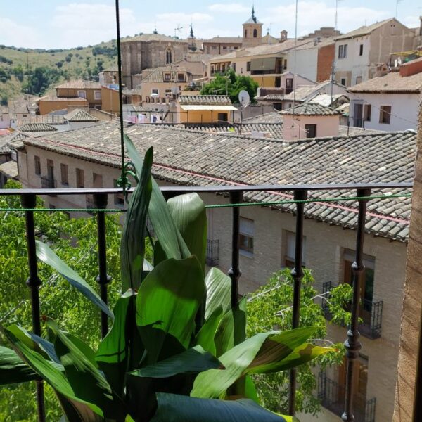 'Fascinación por las plantas', el concurso de fotografía en el que podrás ganar 700 euros
