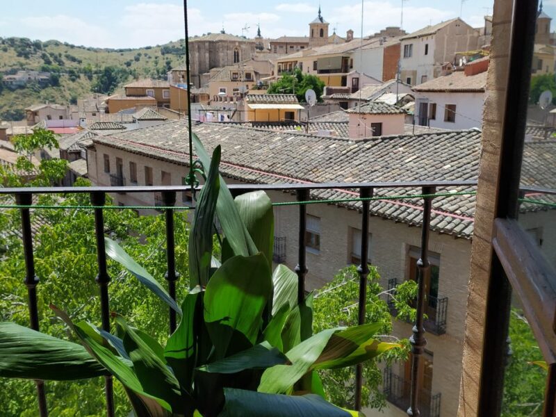 'Fascinación por las plantas', el concurso de fotografía en el que podrás ganar 700 euros