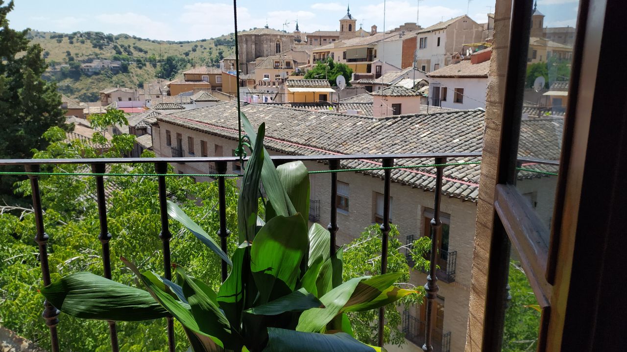 'Fascinación por las plantas', el concurso de fotografía en el que podrás ganar 700 euros