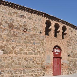 Un trofeo taurino en Toledo ofrece entradas gratis a menores de 8 años