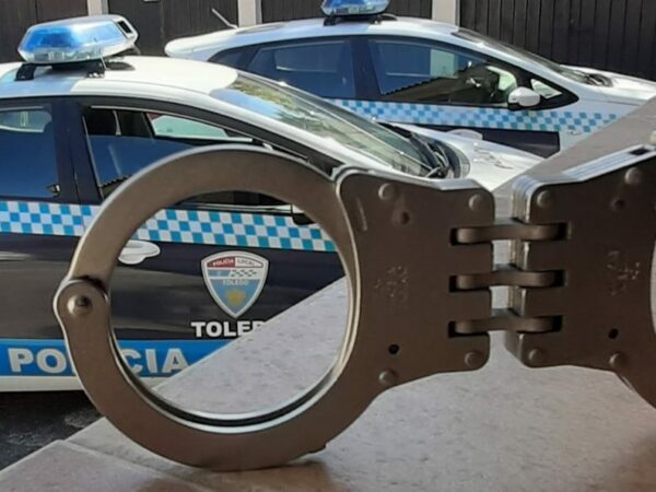 Detenido un hombre tras dejar a dos perros encerrados en una furgoneta al sol en Toledo: uno de ellos ha fallecido