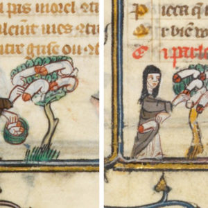 La mitología de Castilla-La Mancha, "una de las más ricas de España", pero también de las más desconocidas