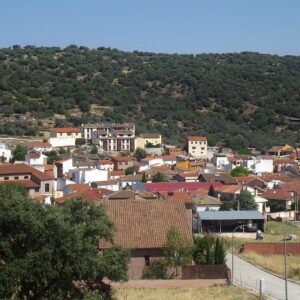 El PP y el PSOE de Toledo condenan una "grave agresión" al exalcalde de Pepino tras un pleno municipal