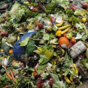 Planificar compras, envasar al vacío o pedir táperes en restaurantes: recetas para evitar el desperdicio de alimentos