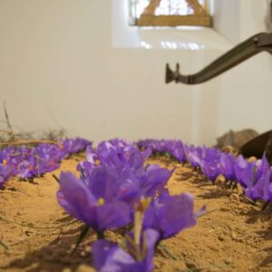 Madridejos promociona en Gran Vía su Museo del Azafrán y otros "rincones por descubrir"