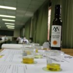 La DOP Montes de Toledo organiza una nueva edición de su curso ‘Iniciación al análisis sensorial de aceite de oliva virgen’ 