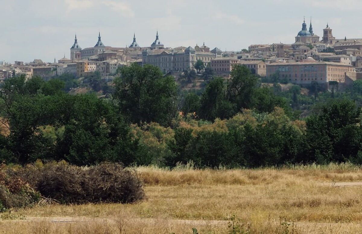 Vega Baja es patrimonio de los ciudadanos, no un parking de cientos de caravanas