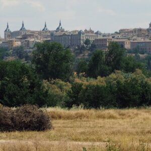Vega Baja es patrimonio de los ciudadanos, no un parking de cientos de caravanas