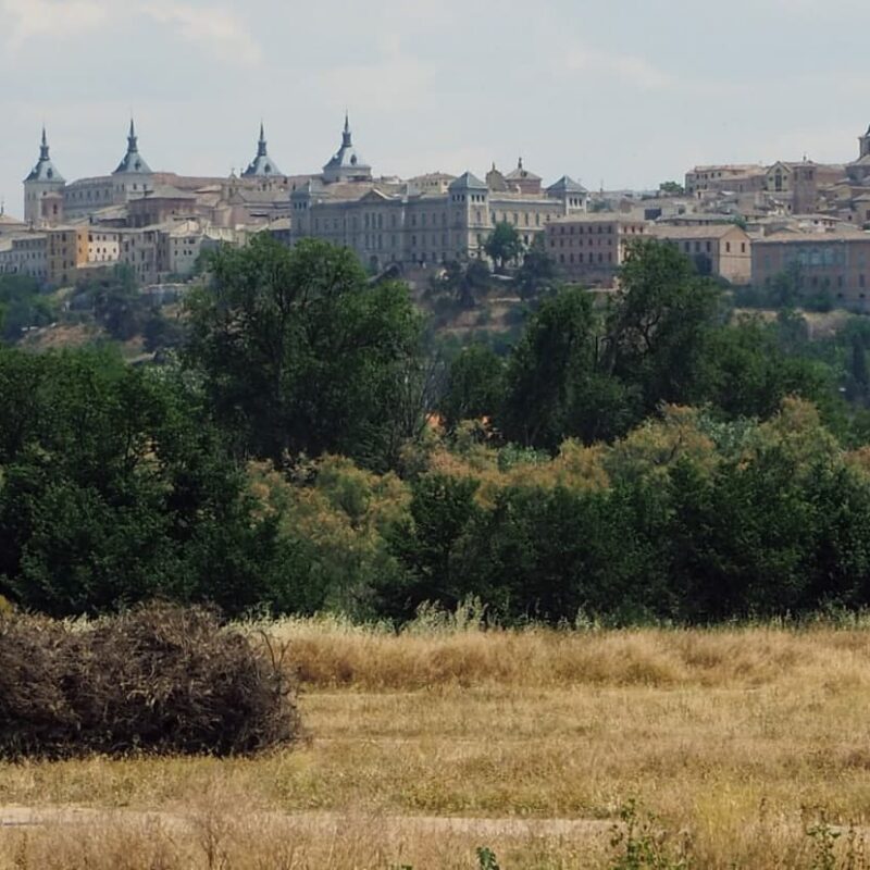 Vega Baja es patrimonio de los ciudadanos, no un parking de cientos de caravanas