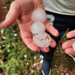 Las tormentas de los últimos días dañan el 70% del viñedo de la zona de Villafranca de los Caballeros
