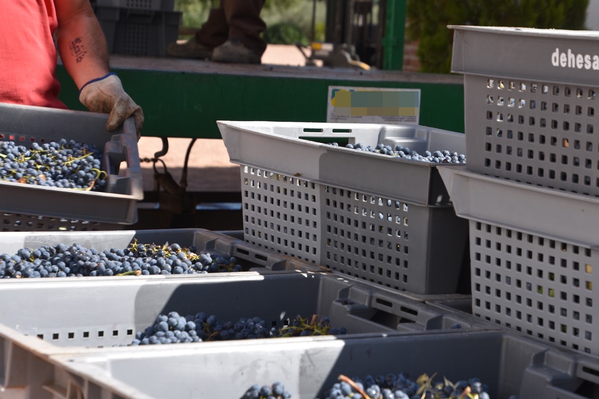 Inquietud en los sectores del vino y el aceite por los aranceles de Trump: &quot;Va a dificultar la llegada de nuestros productos&quot;