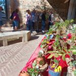 Vuelve el Mercado de las Flores del Consorcio de Toledo