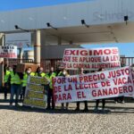 Enfrentamientos en una tensa protesta de los ganaderos en Talavera: «Muchos no pueden pagar las facturas»