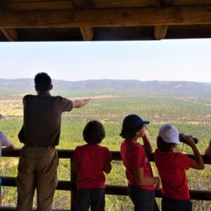 “El turismo es el ocio del siglo XXI” y la provincia de Toledo está preparada gracias a su "diversidad" 
