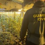 Cinco personas detenidas tras la incautación de 1.800 plantas de marihuana en Olías del Rey y Mocejón