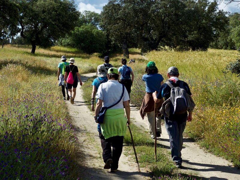 'Senderos por la igualdad' vuelve a recorrer Toledo y el entorno del Tajo