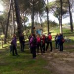 Nuevos recorridos en la Red de Senderos de la Diputación para disfrutar de los espacios naturales de Toledo