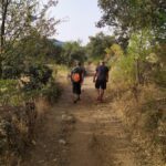 Sonseca acogerá la celebración del I Día Provincial del Senderismo y Naturaleza de Toledo ruta red camino sendero senderismo