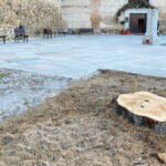 Cs pide un millón de euros en el presupuesto para plantar 10.000 árboles en viales y espacios públicos de Toledo