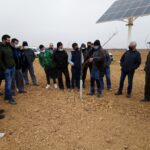 Agricultores de Madridejos se forman con un taller práctico de poda del pistacho