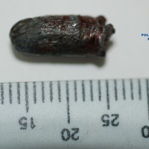 Detienen a tres personas de la misma familia por el intento de asesinato de un joven en La Peraleda el pasado verano