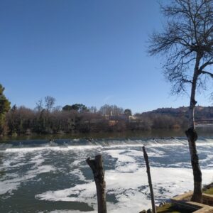 Tolón, satisfecha con el nuevo Plan Hidrológico del Tajo: "Abre un hilo de esperanza"