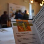 Mora acogerá la segunda edición de ‘NaturAceite’, una cita con el sector del olivar y su futuro frente al cambio climático