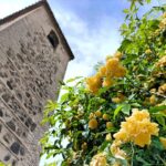 Vuelve el mercado de las flores al jardín de San Lucas y la música de cámara a la iglesia de San Sebastián