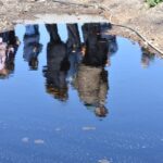 GALERÍA | Así se encuentran las balsas de alpechín de Mora, tras tres años trabajando para eliminar la contaminación