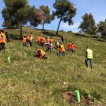 Jornada de reforestación en Toledo organizada por Solaria y Desarrollo Sostenible