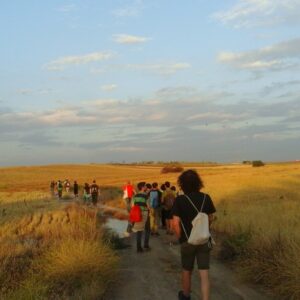 Vías pecuarias, el patrimonio natural olvidado y "ocupado" por carreteras