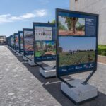 El Paseo del Miradero vuelve a convertirse en museo con la exposición '40 aniversario del Estatuto de Autonomía de Castilla-La Mancha'