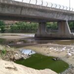 "Alarmante" estado del río Tajo en Toledo por la bajada del caudal: "Existe un riesgo alto para los peces"