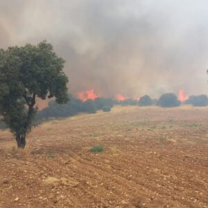 ¿Hubo demora en la intervención para extinguir el incendio de la Finca Zurraquín?