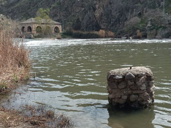 VÍDEO | 'Cantar de Mío Tajo', canción protesta en el último trabajo de los toledanos Ethnos Atramo
