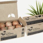 Unos huevos ecológicos de Orgaz, premiados por el BBVA y los hermanos Roca por su sostenibilidad
