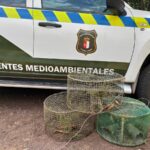 UGT reivindica una Ley de Agentes Medioambientales en Castilla-La Mancha