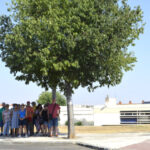 El Ayuntamiento de Toledo aprueba una partida de 106.000 euros para plantar árboles en el Casco Histórico