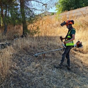 Urbanismo requiere a los propietarios de más 100 parcelas de Toledo su desbroce y limpieza ante el riesgo de incendios