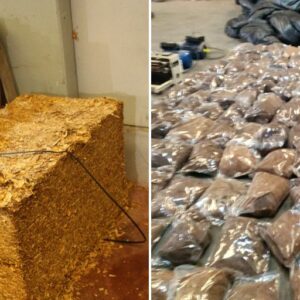 Detenidos siete integrantes de una red de contrabando de tabaco en Ontígola y Seseña